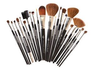 Professional Brushes Set