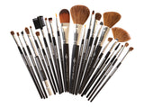 Professional Brushes Set