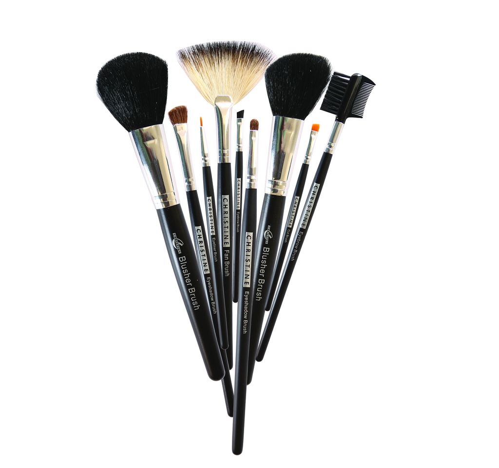 Small Professional Brushes Set
