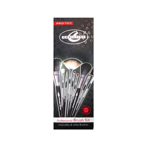 Small Professional Brushes Set