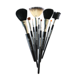 Small Professional Brushes Set