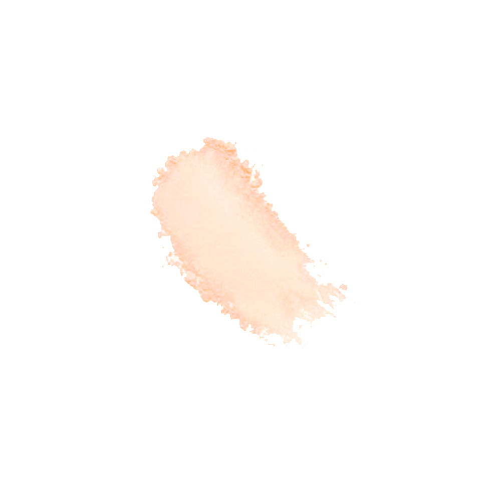Swatch of Pro Face Two Way Cake Foundation - Natural 02