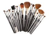 Professional Brush Kit