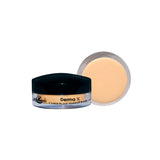 Image of Case Foundation of Color CN-iVORY